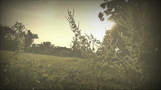 Lagu sedih Samson - Akhir Rasa Ini