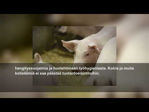 Video: Tuumorin Vastaisten Makrolidien PM100117 Ja PM100118 Biosynteesigeeniklasterin Karakterisointi Ja Suunnittelu Merioperaktiobakteereista: Uuden Parannetun Johdannaisen Luominen