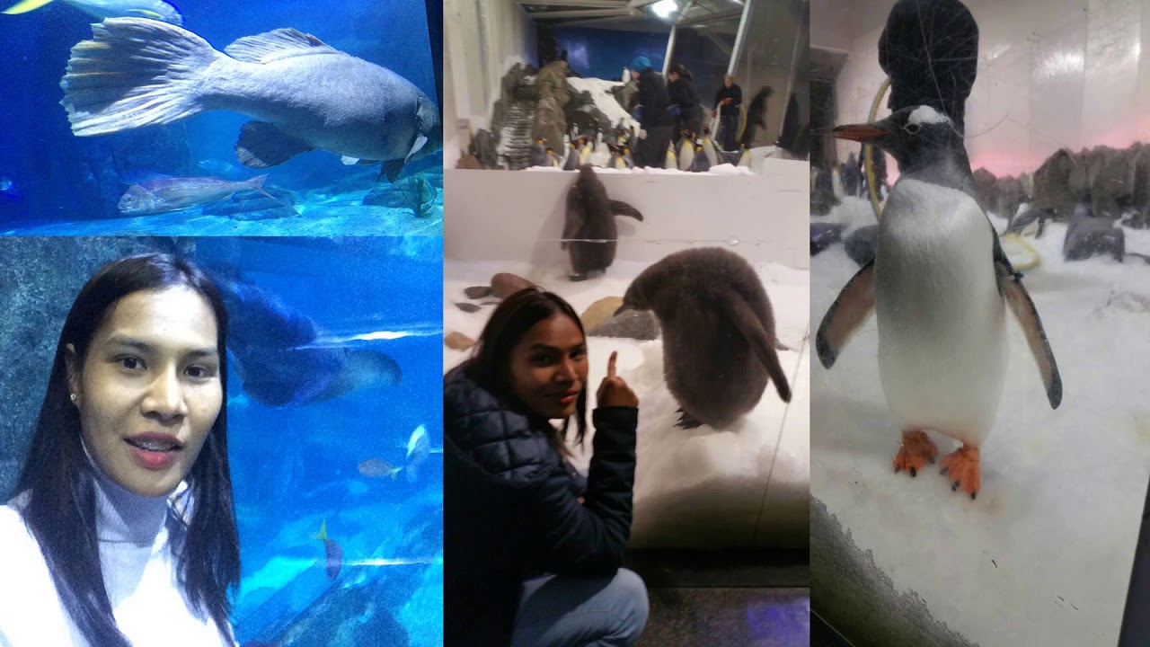 Trip in MELBOURNE: The best place to visit of Australia - YouTube