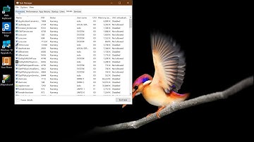 Hands on with Windows 10 Redstone 5 Build 17763