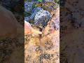 amazing sapphire  Rock #crystalhunting #youtubeshorts #rockhounding