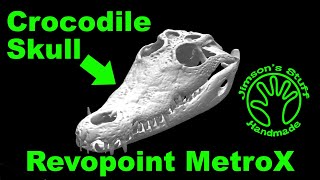 Crocodile Skull Scanning with the Revopoint MetroX
