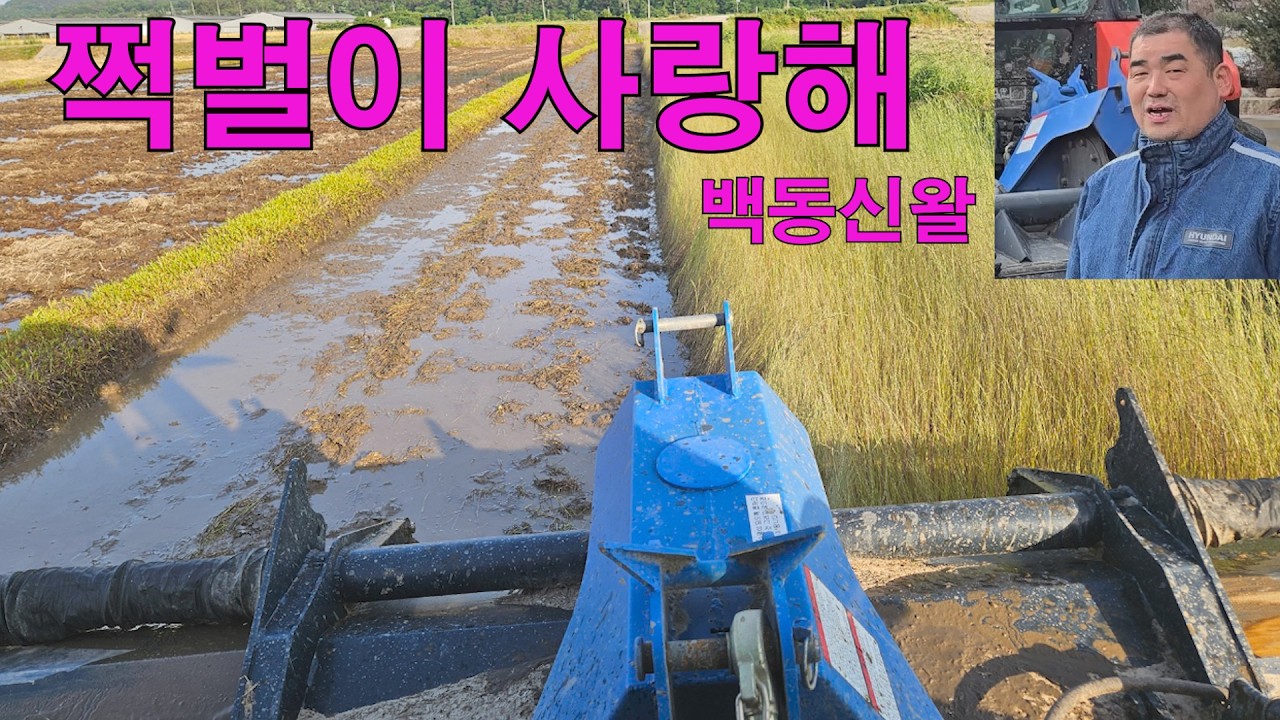 쩍벌이 사랑해/ 백동신왈 , 로타리 4m