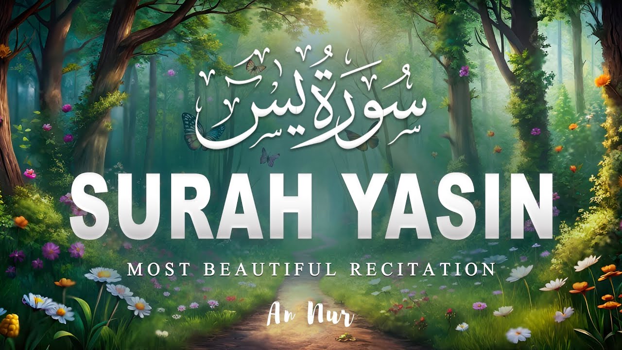 Surah Yaseen سورة يس | Soothing & Beautiful Recitation for Inner Peace by Alaa Aqel | An Nur