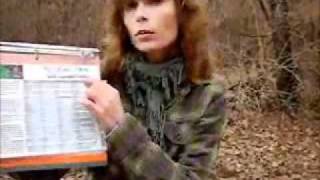 Celebrity Introduction to Quick Reference Guides Profile