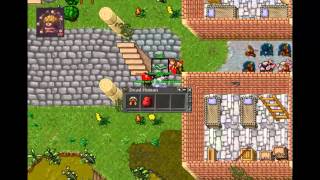 COMBOS TIBIA