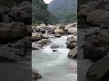 Peaceful Stream | Enjoy a Breath of Relaxation!