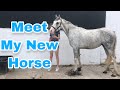 BUYING MY FIRST EVER HORSE~ meet my new horse