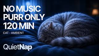 Cat Purring for Sleep โ 2 Hours of Gentle Purring, No Music