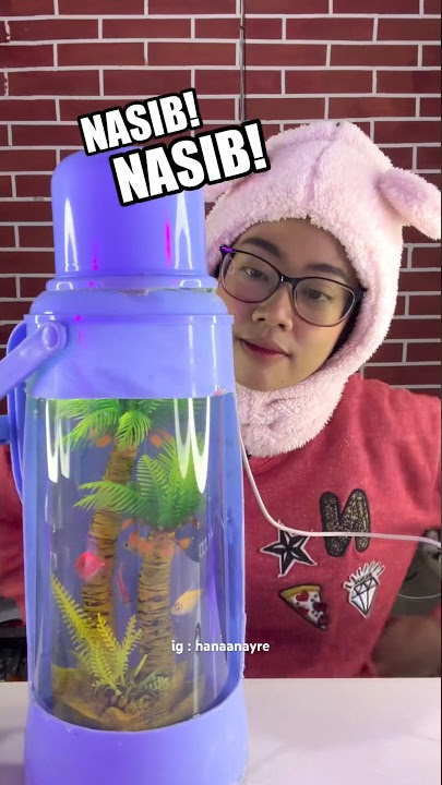 Thermos aquarium for mom #fishtank #fish #aquarium #pet #cupang