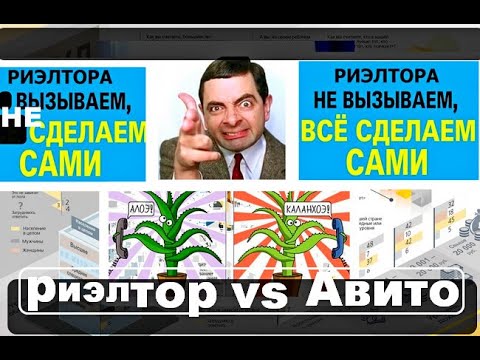 Риэлтор или Авито Кто из них гарантирует заказчику результат