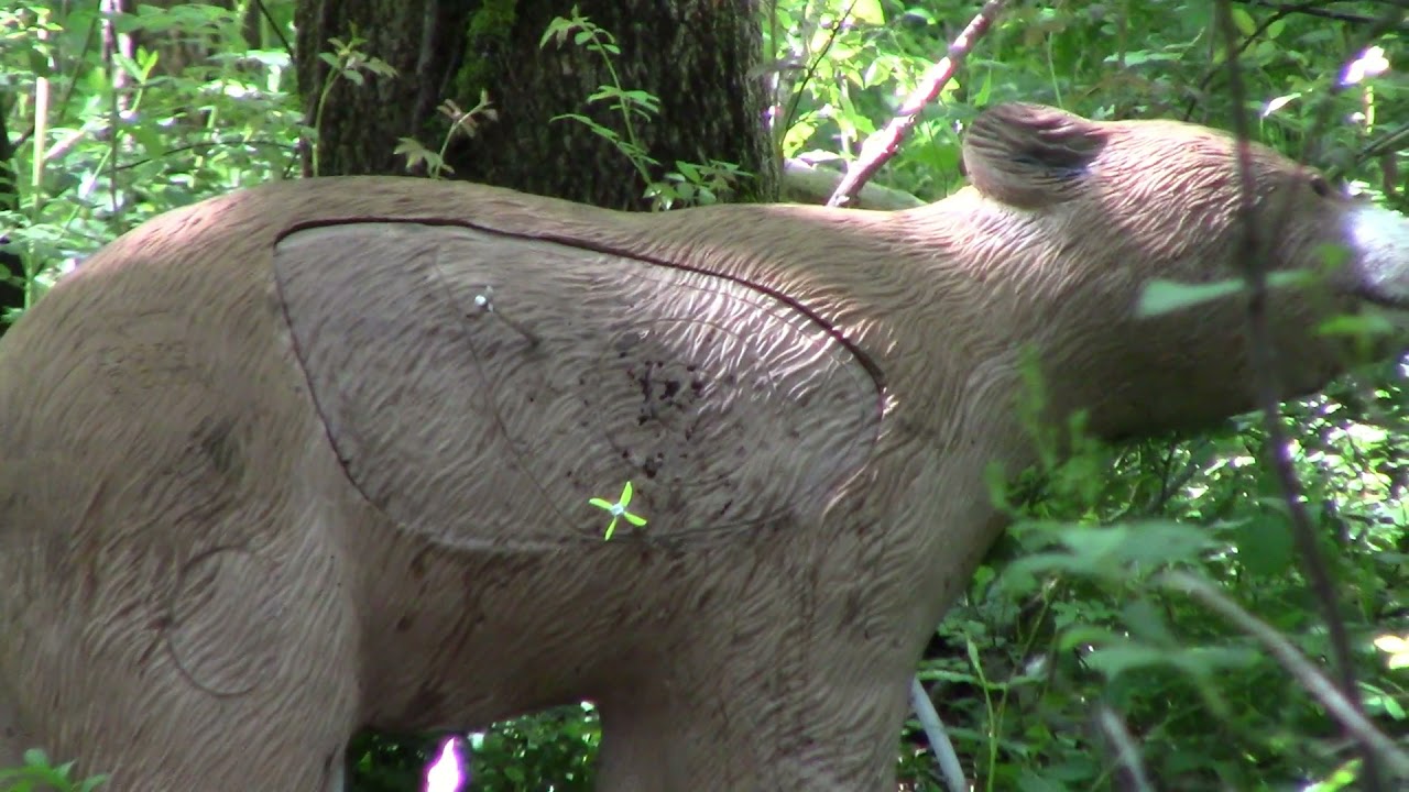 Traditional 3D Archery GoldenHawks Archery Club 5-8-2021