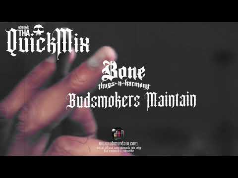 BTNH - Budsmokers Maintain (Tha QuickMix) 009