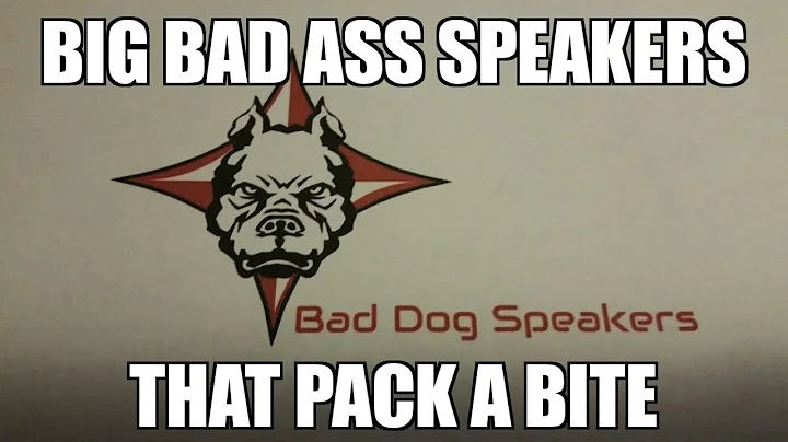 Klipsch KG4 speaker review. How do they compare to Heresy?