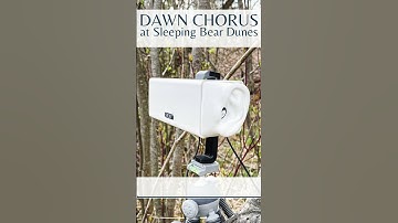 Thumbnail of Dawn Chorus at Sleeping Bear Dunes (Binaural Recording)