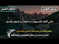 حكم ألعاب الكمبيوتر بما فيها من المفيد والمضر العثيمين حكم ألعاب الكمبيوتر بما فيها من المفيد والمضر العثيمين