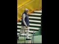 Entry of Imran Khan and Narendra Modi #importedgovtnotacceptable #viral #foryou Mp3 Song