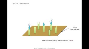 ISFET