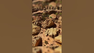 Can You Spot All of the Hidden Rock Elementals? #ark #scorchedearth #syntac