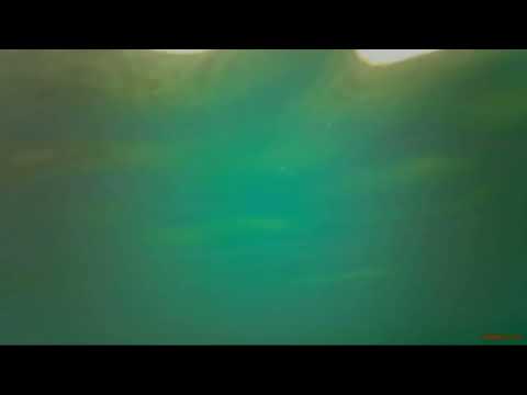 Un tuffo dove l'acqua è più blu, niente di più...