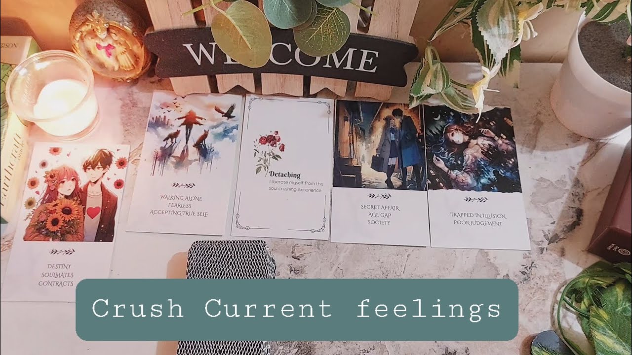 Crush ki current feelings. General Timeless Tarot reading.