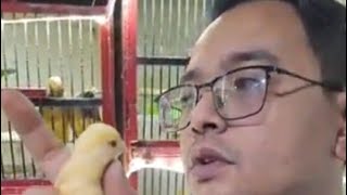 bongkaran kecil-kecilan barang istimewa