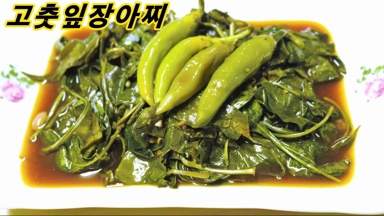 고춧잎장아찌/깊은 장아찌의 맛!과 감칠맛의 비법! 완전 밥도둑! 고춧잎 장아찌 만드는 법/밥상매일(Every table ...