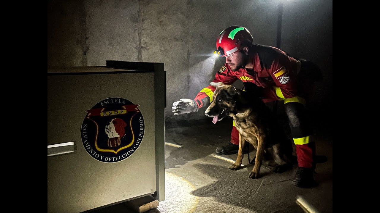 Curso Guías Caninos en Estructuras Colapsadas 2022