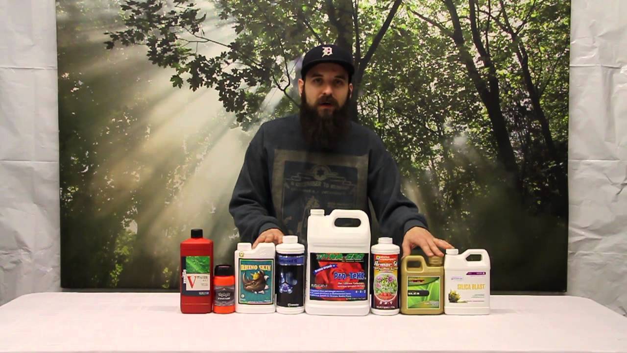 How To Use Silica In Your Indoor Garden YouTube how-to-use-silica-in-your-indoor-garden-youtube