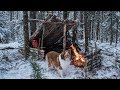 2 Night Winter Bushcraft Camp With My Dog