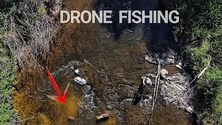 I Caught This BIG Fish Under My DRONE - Fishing Soft Plastics by Tony Gillahan 1,564 views 5 months ago 12 minutes, 19 seconds