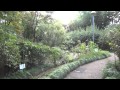 板橋区赤塚植物園を動画で紹介【無料とは思えない】