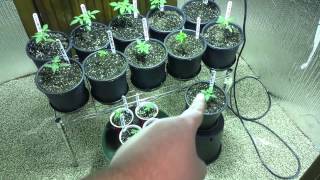 DTE tester series episode #2