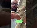 #cat #cats #kedi #köpek #dog #youtubeshort #keşfet #reels #viralshort #shorts #shortvideo #short