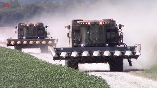 GLEANER S77 Combines on the Move in Corn Harvest