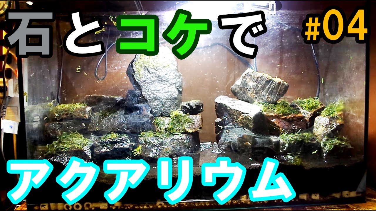 4 石組み 天然採取の石とコケで作るアクアリウム 苔レイアウト Youtube