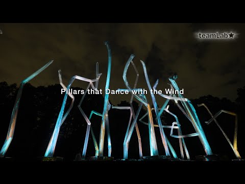風と共に踊る柱群 / Pillars that Dance with the Wind