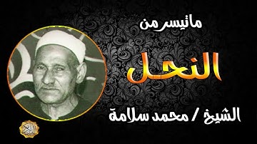 القارئ الشيخ محمد سلامة سورة النحل