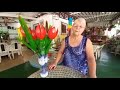 Tulipa de Garrafa pet | Vó Neide e suas pets