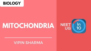 Mitochondria | NEET Biology | NEET UG in 10 screenshot 1