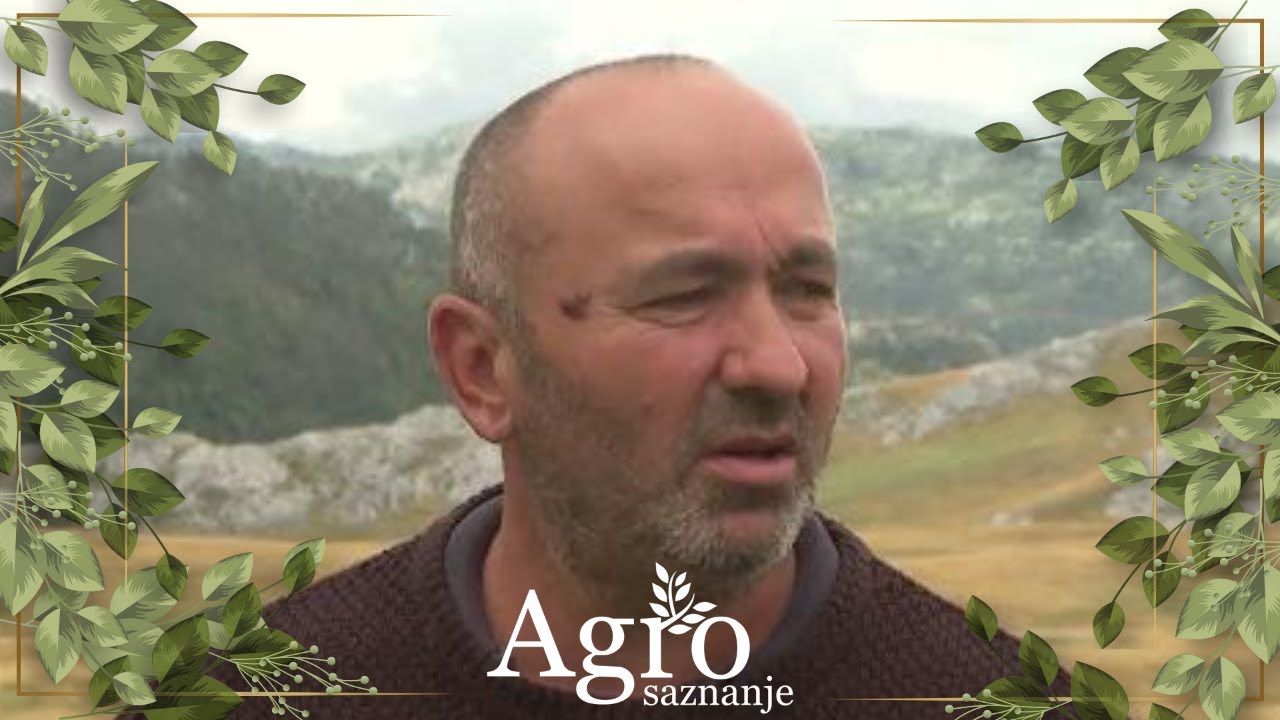 Priče sa Lukavice, Ljututuka, Kuća Rakića i iz Lipova - AGROSAZNANJE