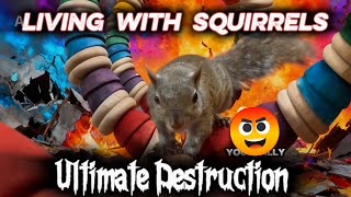 Living with Squirrels  | ultimate destruction