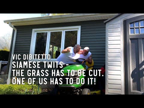 Siamese Twits - The grass has to be cut. One of us has to do it!