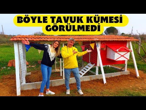 Video: Tavuk kümesi: Çok çaba harcamadan bir kümes nasıl yapılır?