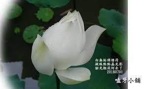 20101211-嗑牙小舖-第5集