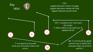 Jugada 8 Tocho bandera BAY Wild Flag football 5vs5 arma tu playbook UTF sports.