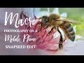 Photographing an Ant and a Bee! | How to Edit a Macro Photograph on a Mobile Phone