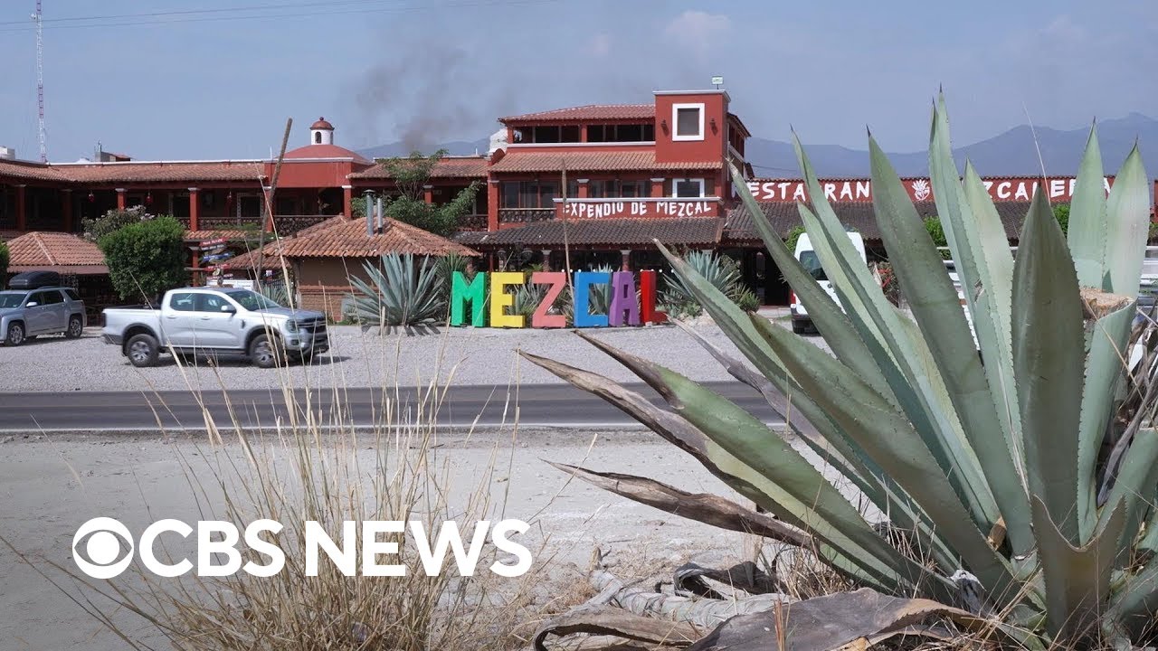 60 Minutes reports on mezcal in Mexico