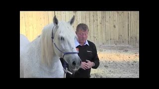 Gary Witheford & Brujo - working with a problem horse