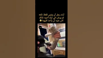 اغنية مش حانساك أغاني 2025 Musicgenre اغاني Musicsong جديد 